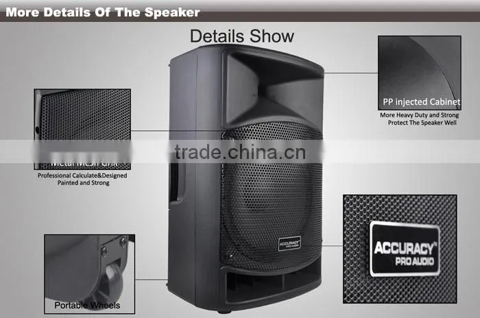 Professional Digital FM Radio Molded Loudspeaker Cabinet CSA15AMK-BT