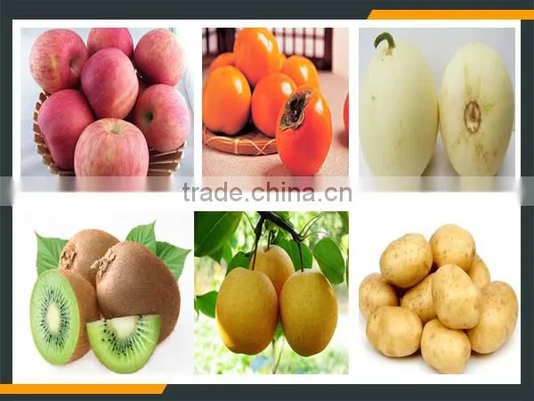 Leader middle fruit peeling machine for dichroa pomelo, orange, lemon