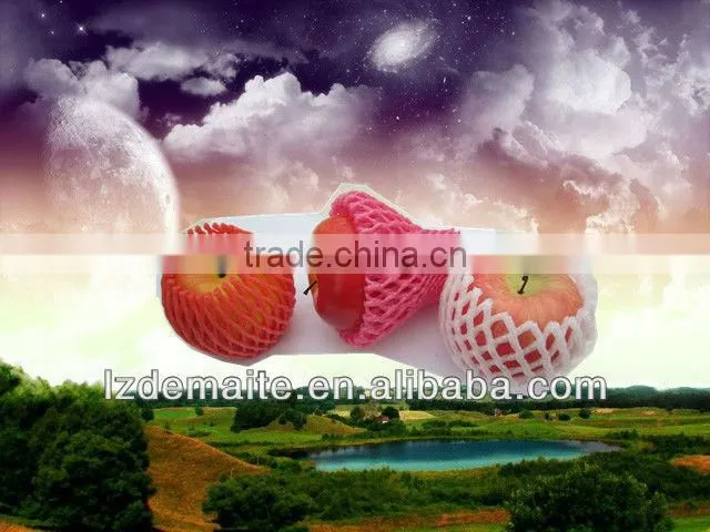 PE Plastic Vegetable Net