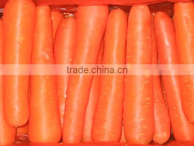 chinese carrot