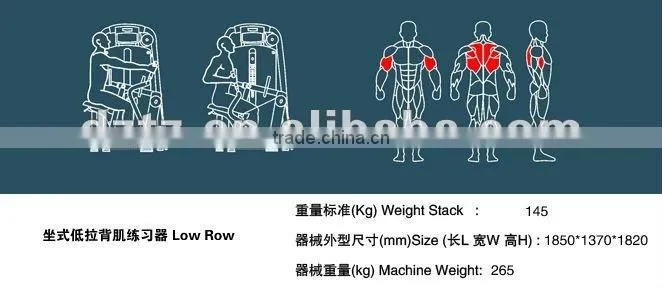 2016 popular TZ-6 gym equipment/ TZ-6021 fitness machine/TZ-6021 low row