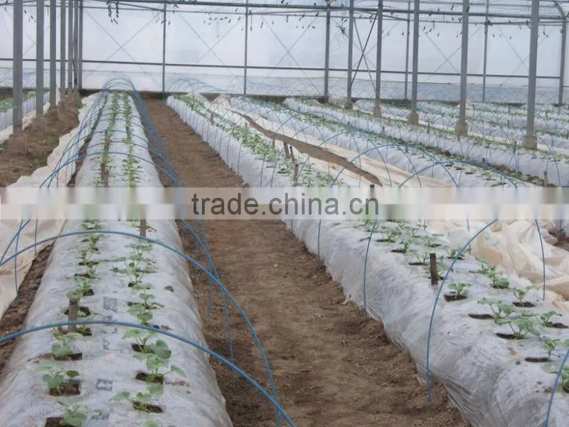 High quality hdpe/ldpe greenhouse film