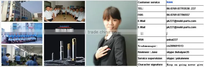 Metal Prtsa Hardware mold parts shoulder punches