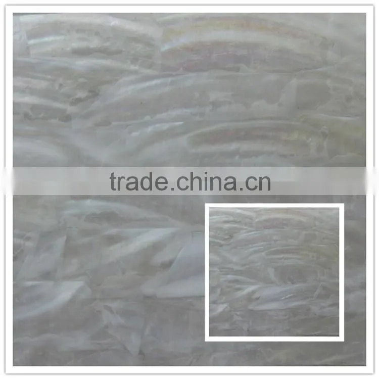 wholesale factory price abalone/paua shell wallpaper shell sheet wall coating