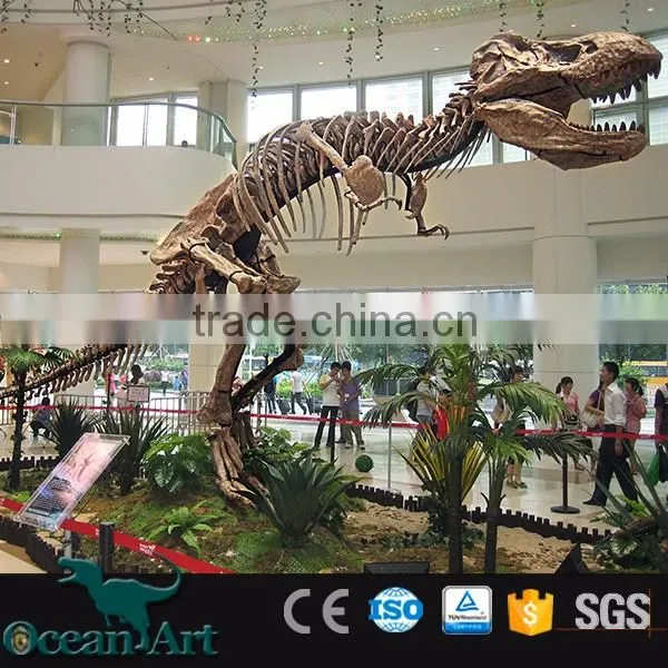 BY-DY-041406 Natural Science and History Museum Dinosaur Skeleton Model