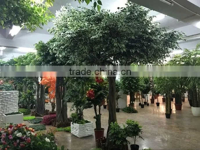 Guangzhou Susan Landscape Artificial Plants Co., Ltd. company overview - view 3