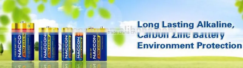 hot selling 1.5v AM5 LR1 1.5V alkaline battery fg