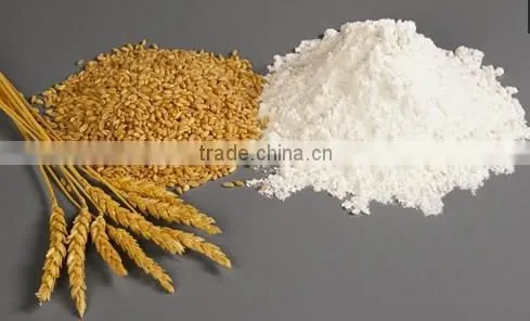 Zhirui 10TPD wheat flour mill machine