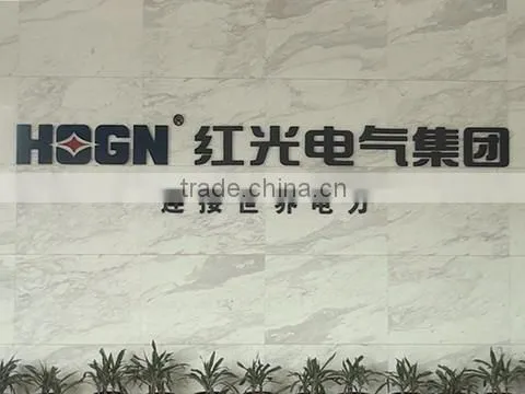 Hongguang Electrical Group Co., Ltd. company overview - view 1
