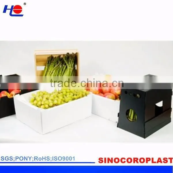 Plastic Vegetable Packaging Box
