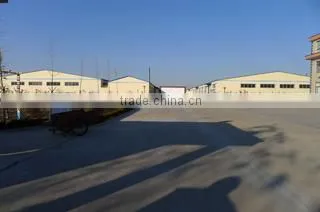 Qingdao Colorful World International Trade Co., Ltd. company overview - view 3
