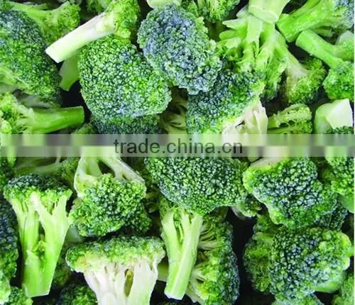 IQF Broccoli
