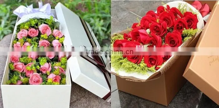 Wholesale Fresh Cut Rose Flowers Roses for Valentine's Day