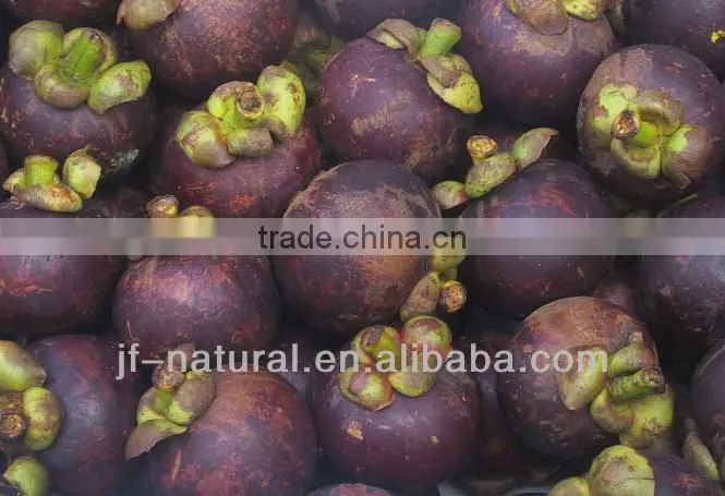 pure natural Mangosteen Extract powder ISO, GMP, HACCP, KOSHER, HALAL certificated