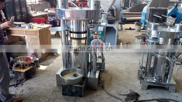 China Famous Brand Automatic hydraulic Almond Oil Press machine Price