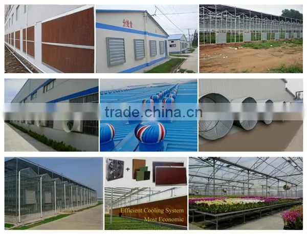 Poultry farming equipment No Power Roof Mounted Exhaust Fan/Ventilation Fan/Cooling Fans