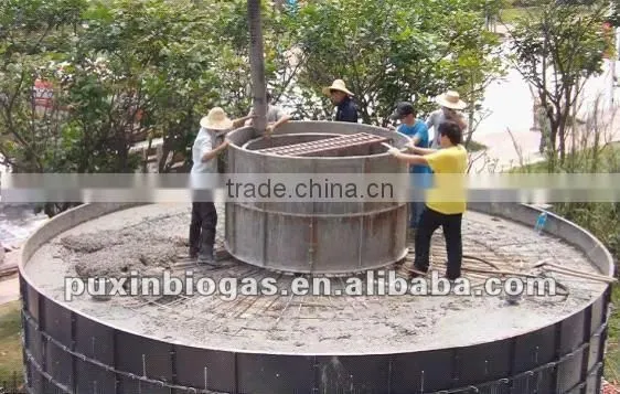 Low cost and big size PUXIN biogas plant for electricity generation