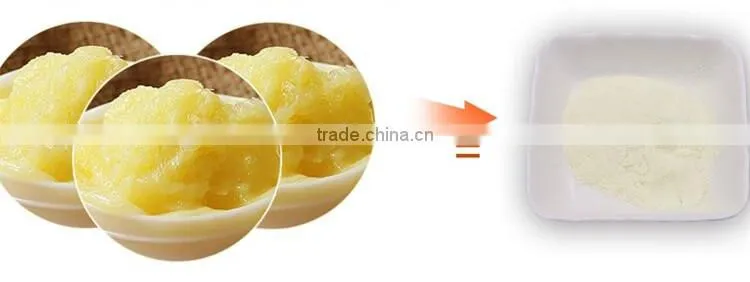 bulk royal jelly powder