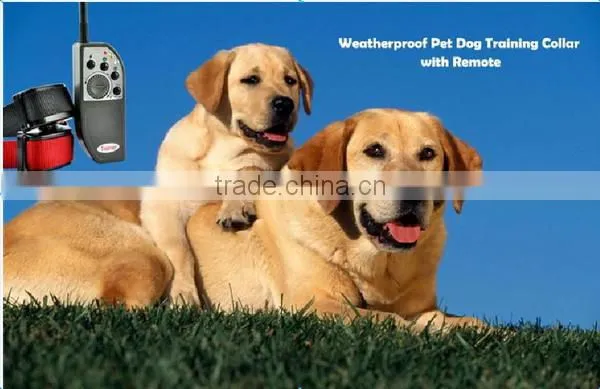 Top grade hot sell pet training collar supply