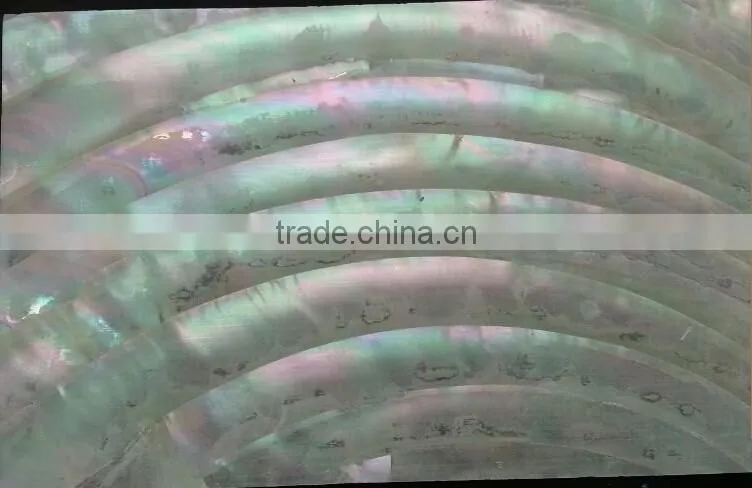 natural curve pattern Turbo Marmoratus shell laminates