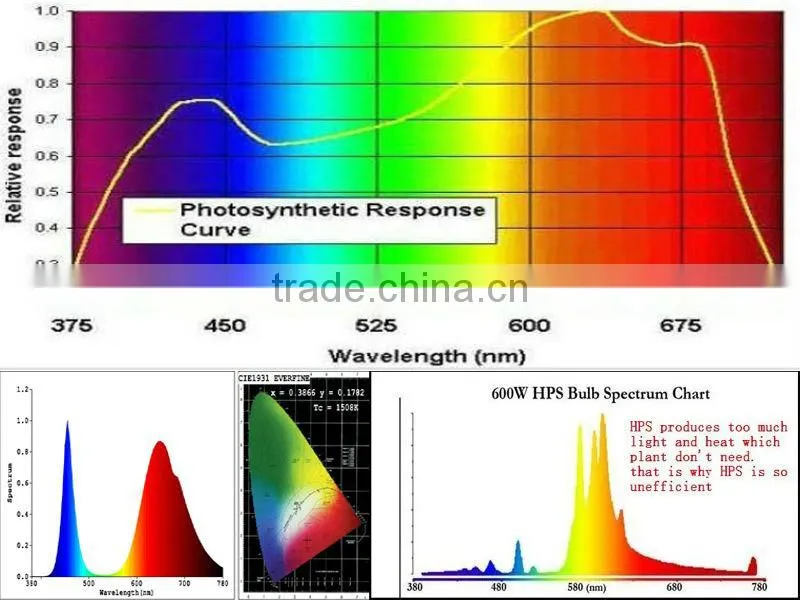 Vanq 600W COB led grow plant light led flowering lights