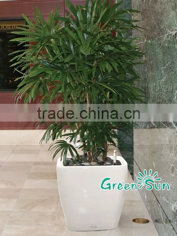 Selfwatering hydroponic growing systems planter flower pots wholesale
