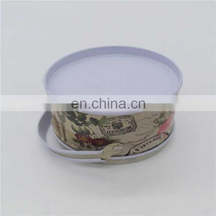 New style empty cute small flat round cookie tin box can with handle