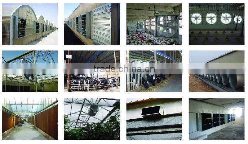 ventilation fan for chicken house