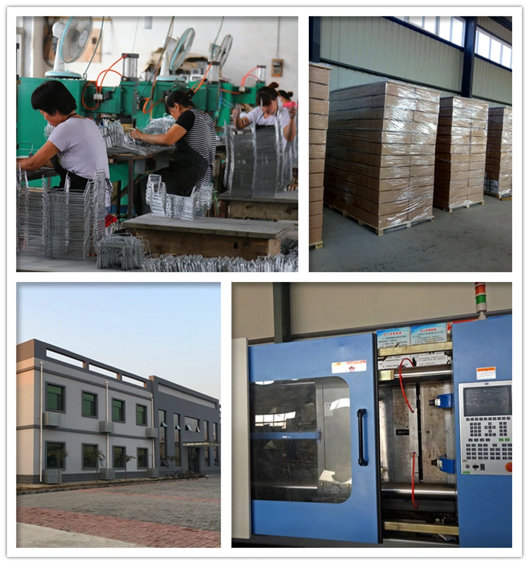 Crown Wealth Trading CO.,Ltd. company overview - view 2