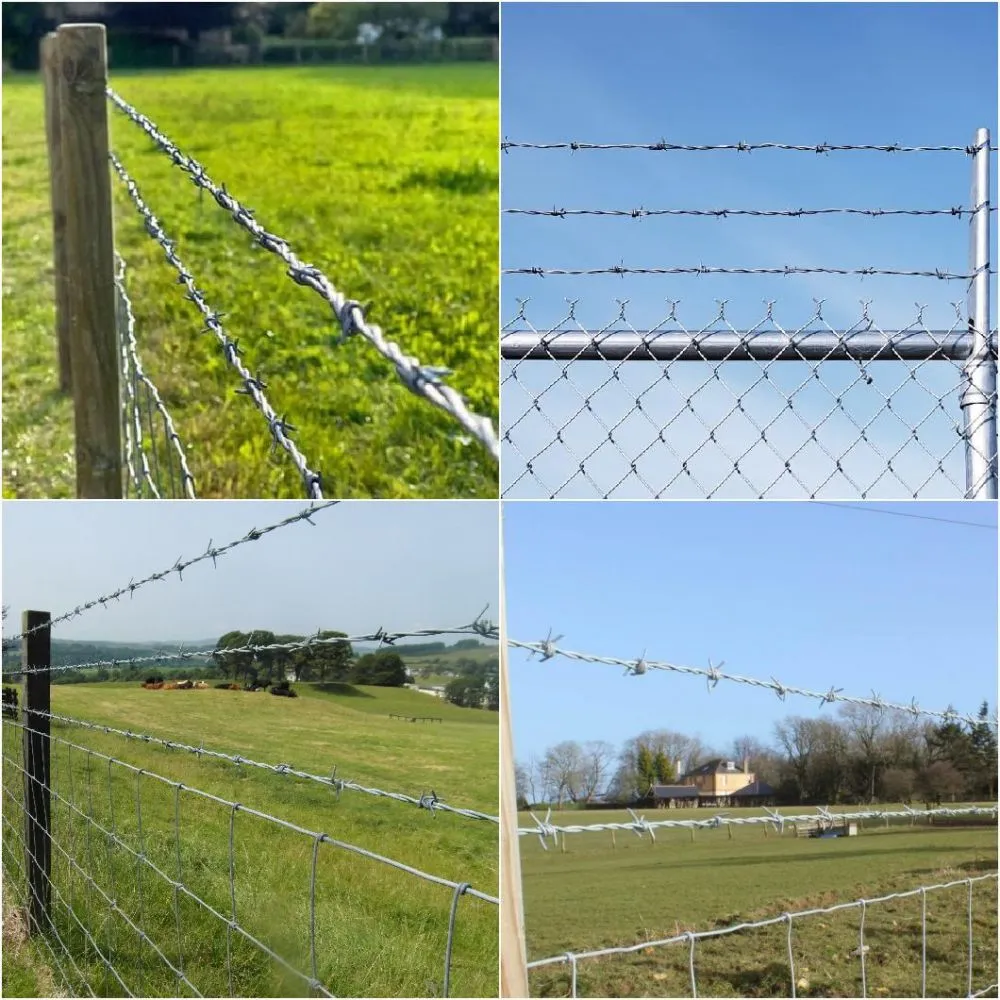 Stainless-Steel-Galvanized-Low-Carbon-Steel-Reverse-Twist-Barbed-Wire-for-Security-Field