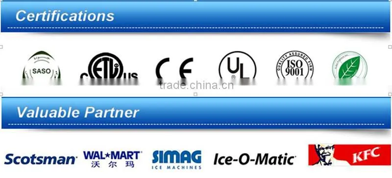 Top quality PLC Control Systems Automatic containerized plate ice machine For sale