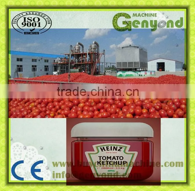 Excellent tomato paste production line