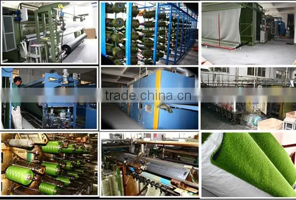 natural olive grass factory directly with good price