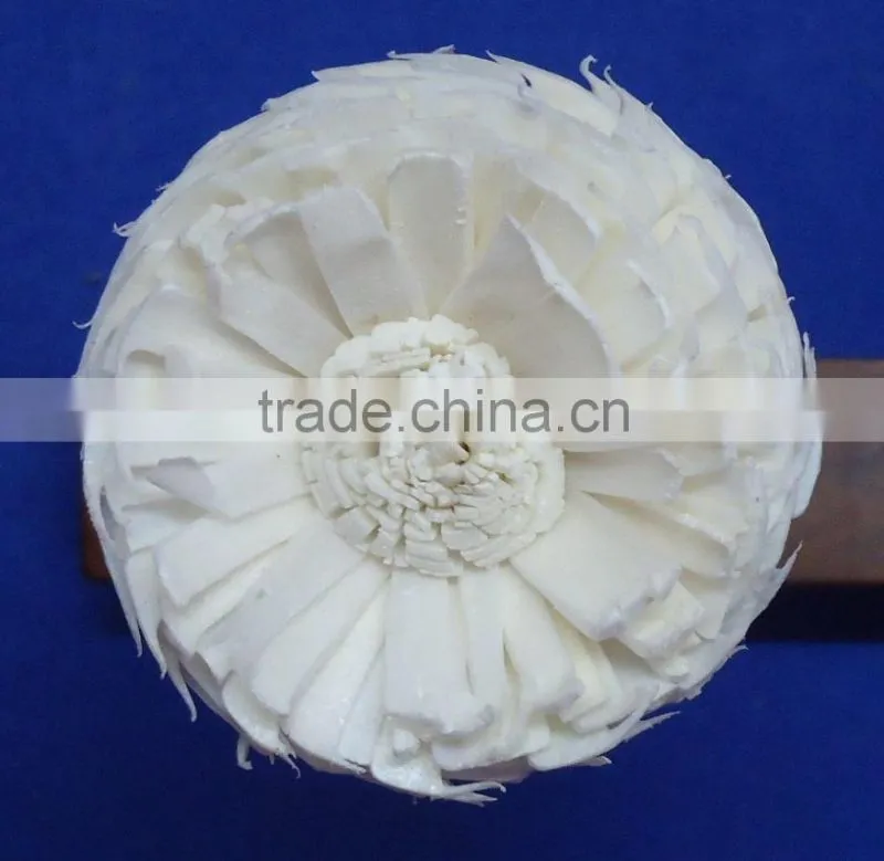 Home decoration sola flower