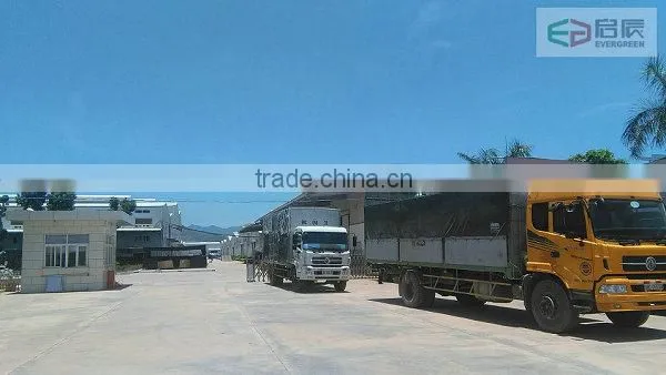 Vietnam Evergreen Co., Ltd company overview - view 2