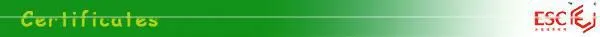 5W 3014 SMD led candle bulb light