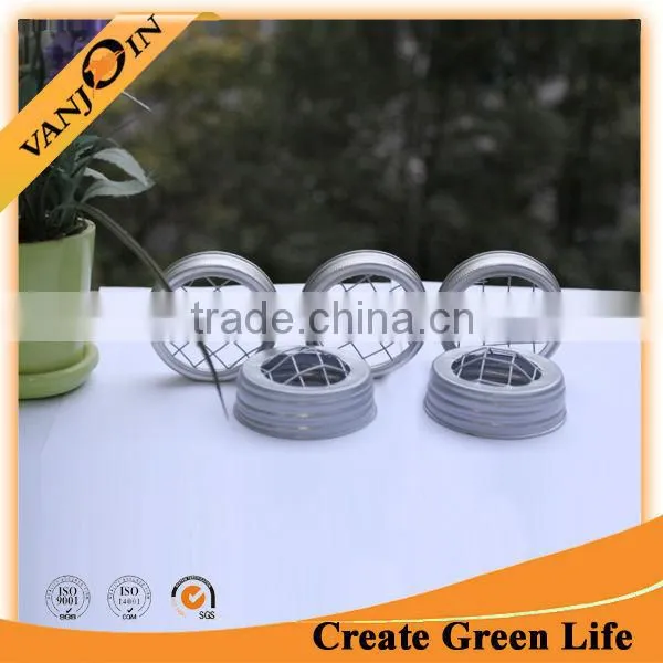 Silver Flower Vase Frog Lid