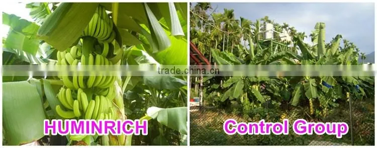 FAQ 13--SH9071 Huminrich Humate Soil Conditioner