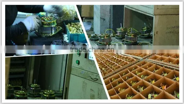 motor washing machine