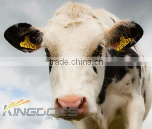 Animal Management Microchip
