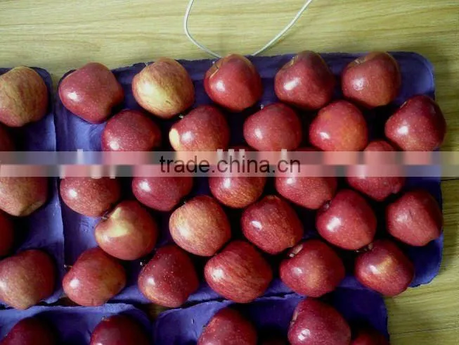 washington red apples 2015
