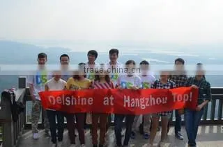 Hangzhou Delshine Industry & Trading Co.,ltd company overview - view 2