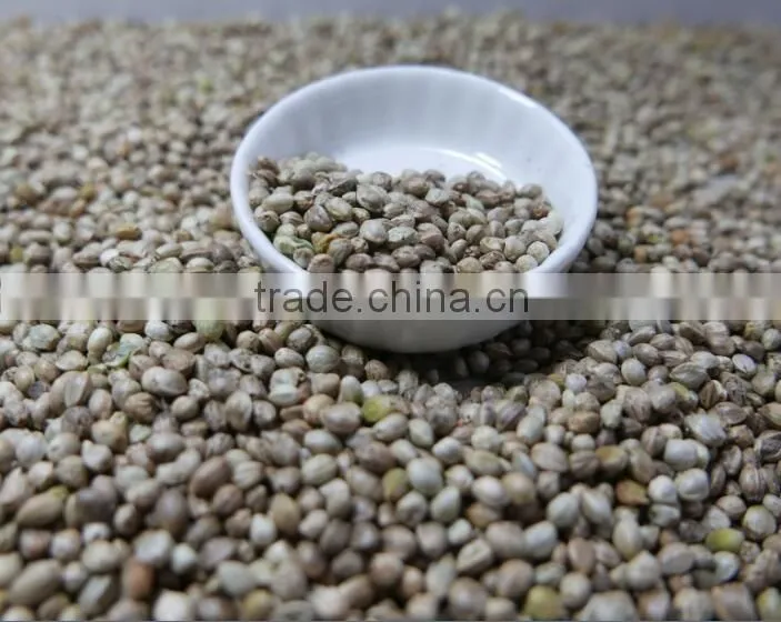 Hemp Seeds with high quality 2016 crop