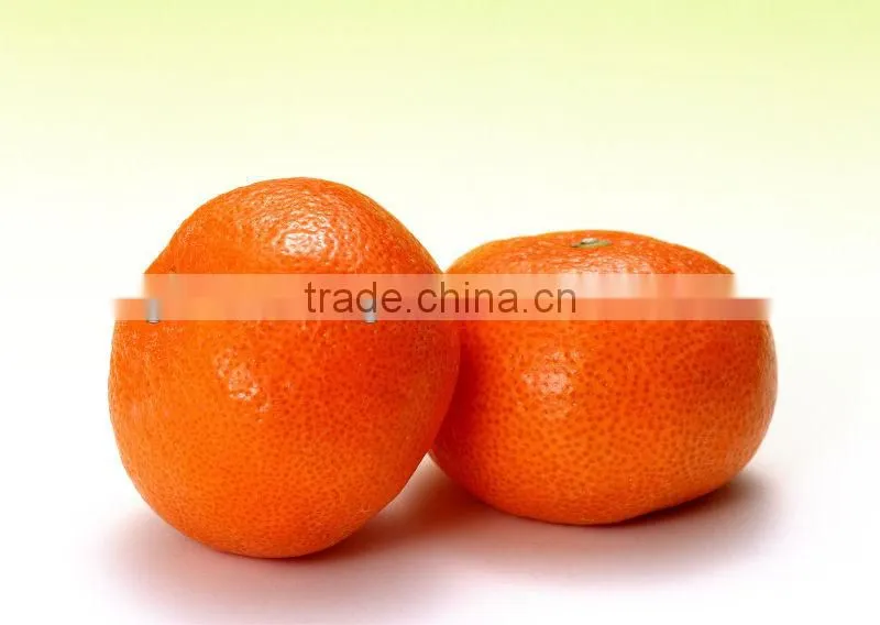 2012 fresh china orange supplier in china
