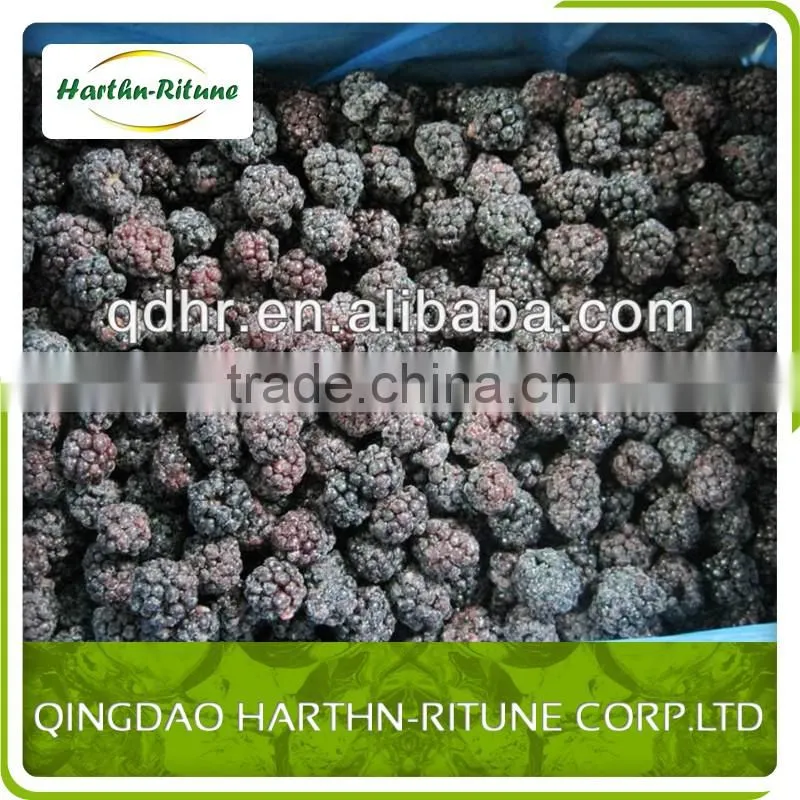 sweet frozen blackberry