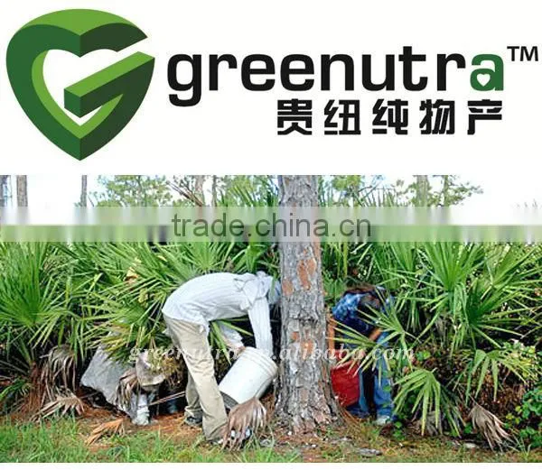 GMP Saw Palmetto Extract Powder