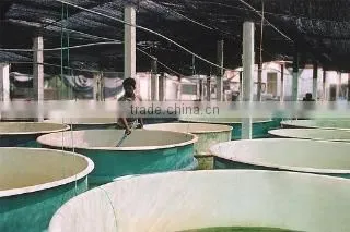Aquamarines International (pvt) Ltd company overview - view 1