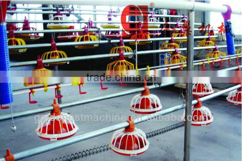 poultry farm equipment