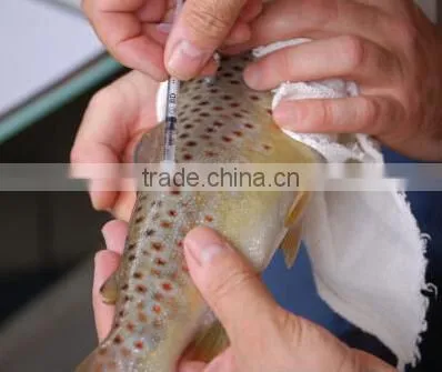 syringe for animal with RFID animal glass tag