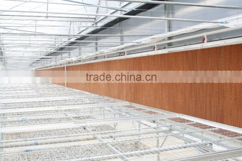 Guangdong Professional Greenhouse cooling pad manufacturer supplier